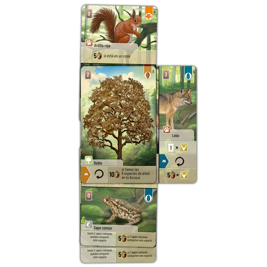 forest-shuffle-detalle-colocacion-cartas.webp