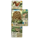 forest-shuffle-detalle-colocacion-cartas.webp