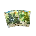 forest-shuffle-detalle-cartas.webp