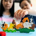 animal-sobre-animal-haba-partida.webp